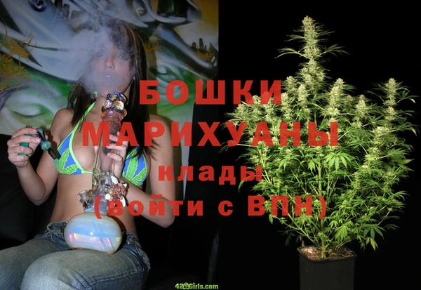 спайс Арсеньев