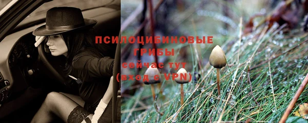 стафф Армянск