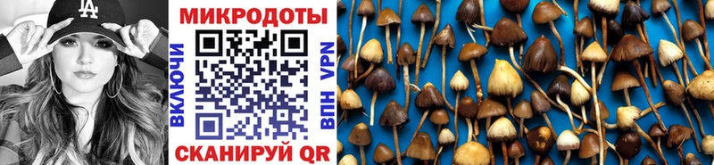 Псилоцибиновые грибы прущие грибы  Дмитров 