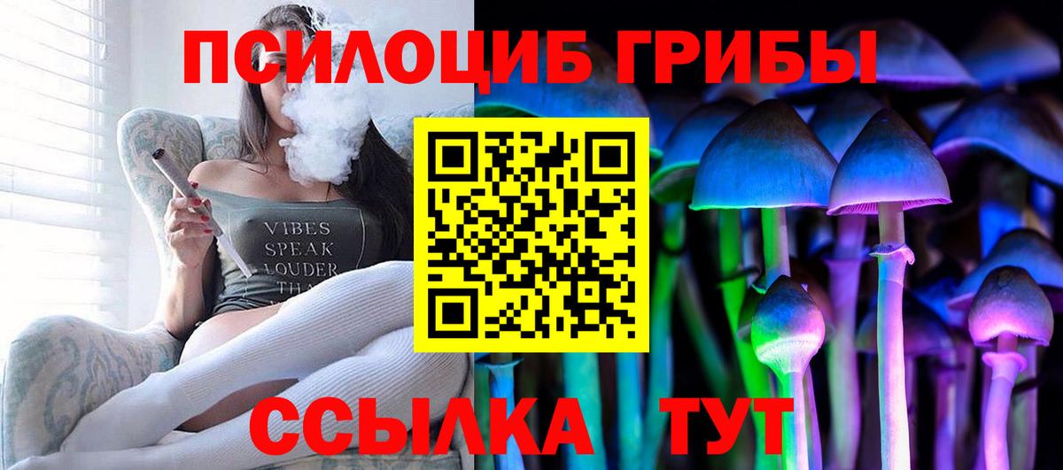 Галлюциногенные грибы Cubensis Дмитров