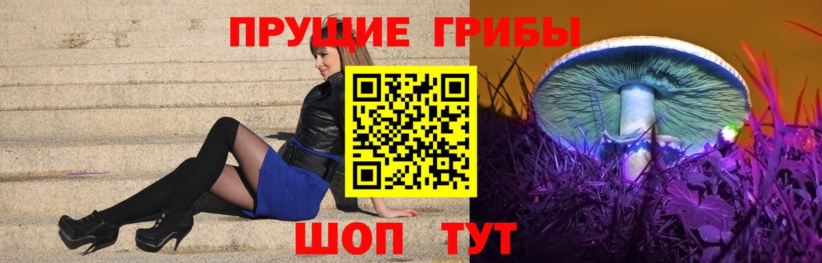Галлюциногенные грибы Cubensis  Вход с VPN  наркошоп  Дмитров 